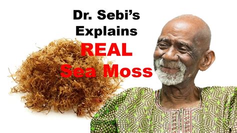 Dec 06, 2020 &183; Dr. . Dr sebi sea moss official website